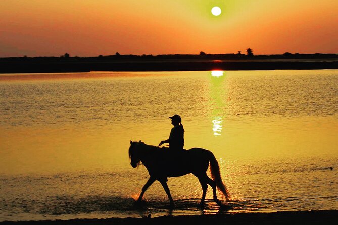 Horseback riding at sunrise 3h - Weather, fitness, and what to clarify