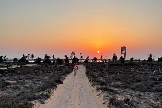 Horseback riding at sunrise 3h - Who will enjoy this Djerba ride most