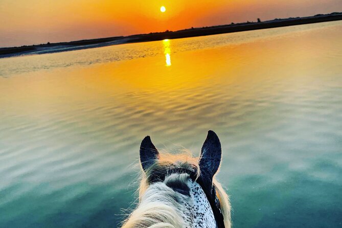 Horseback riding at sunrise 3h - Riding toward the first light