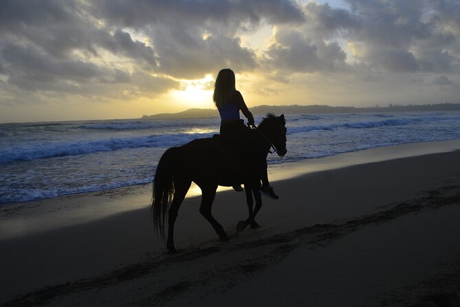 Horseback Riding at Sunrise on the Beach of Punta Cana - Key points to know before you book