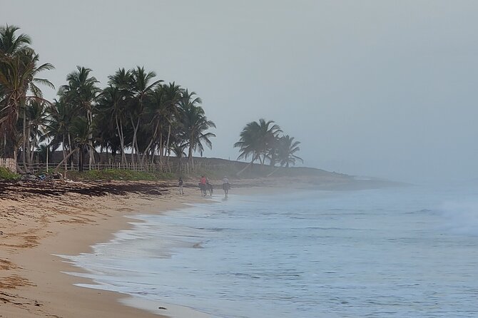 Horseback Riding at Sunrise on the Beach of Punta Cana - Guides, horses, and the human side of the outing