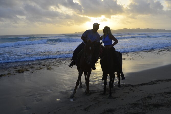 Horseback Riding at Sunrise on the Beach of Punta Cana - Pickup, timing, and the 17-day booking pattern