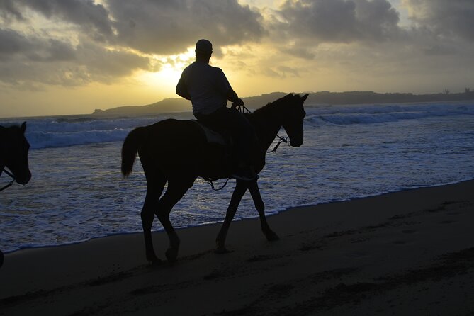 Horseback Riding at Sunrise on the Beach of Punta Cana - Who will enjoy this Punta Cana ride most?