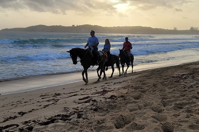 Horseback Riding at Sunrise on the Beach of Punta Cana - What the one-hour beach ride is like