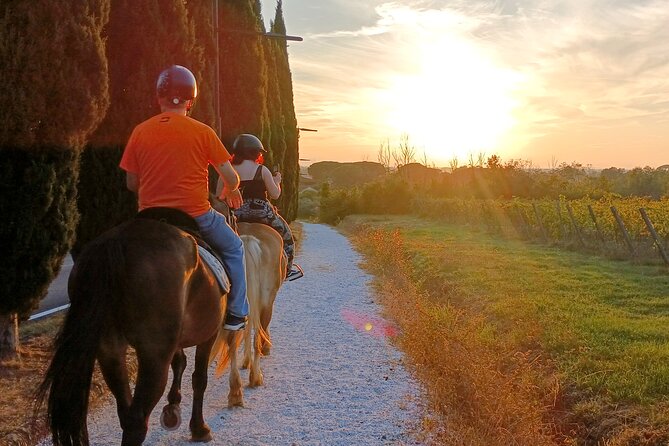 Horseback riding at sunset 1 hour at the Certosa di Pisa - How the horses and equipment affect the experience