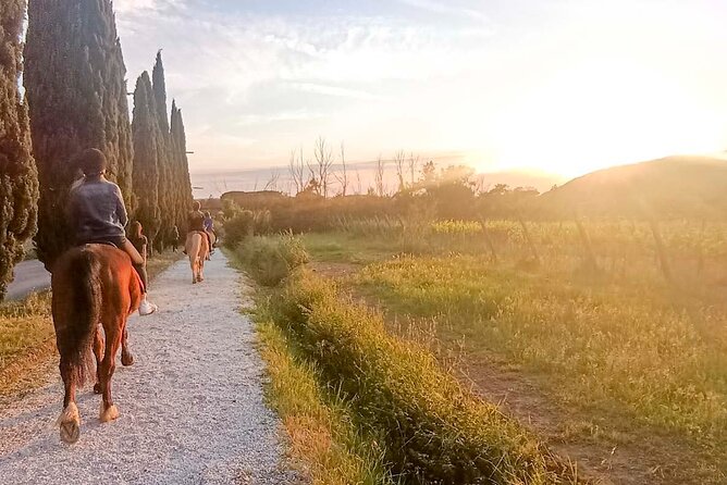 Horseback riding at sunset 1 hour at the Certosa di Pisa - Is $48.01 good value?