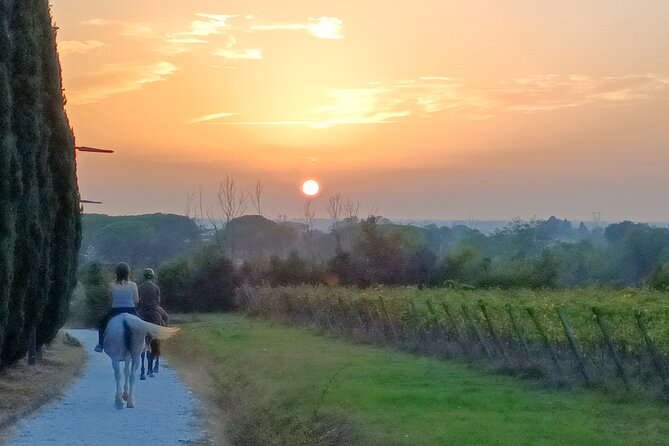 Horseback riding at sunset 1 hour at the Certosa di Pisa - Meeting the horses and passing the field test