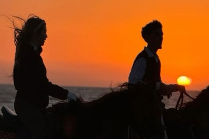 Horseback riding at sunset (2 hours) - Getting comfortable with the horse