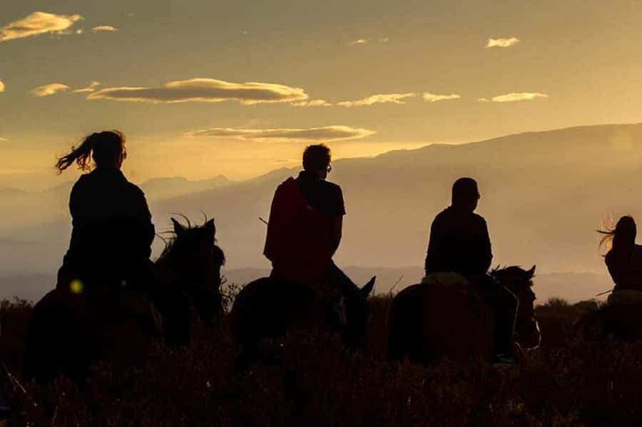 Horseback Riding at Sunset and Dinner in Mendoza - Who Will Enjoy This Mendoza Evening