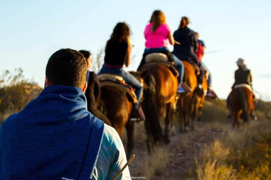 Horseback Riding at Sunset and Dinner in Mendoza - A Note About the Glacier and Boat Trip Mention