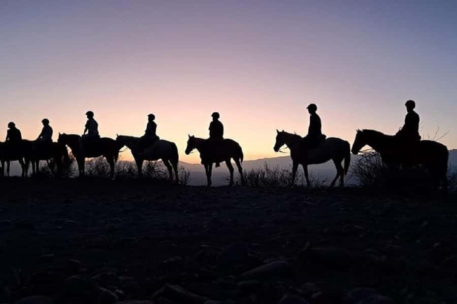Horseback Riding at Sunset and Dinner in Mendoza - Meeting the Horses and Starting the Two-Hour Ride