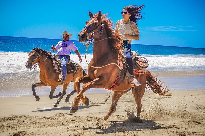 Horseback Riding & ATV Combo! Mountain Trails & Beautiful Beaches of BAJA! - Horseback riding beside the Pacific