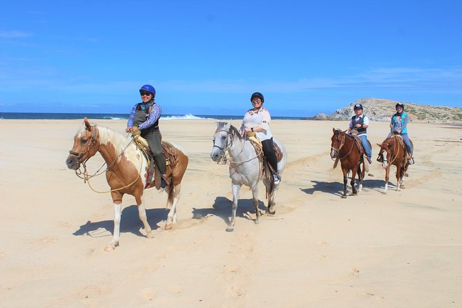 Horseback Riding & ATV Combo! Mountain Trails & Beautiful Beaches of BAJA! - Wildlife, scenery, and the value of a guide