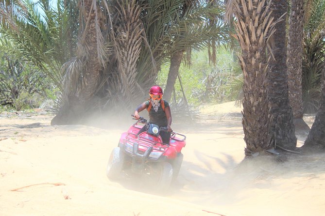 Horseback Riding & ATV Combo! Mountain Trails & Beautiful Beaches of BAJA! - Who will enjoy this Cabo activity most