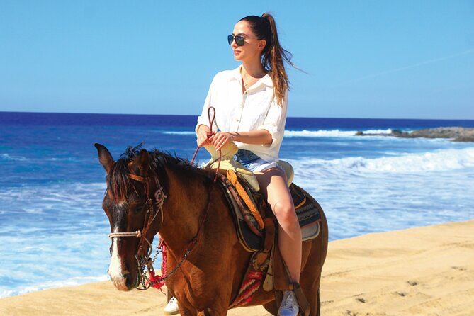 Horseback Riding Beach and Desert Adventure - Quick take: what matters most