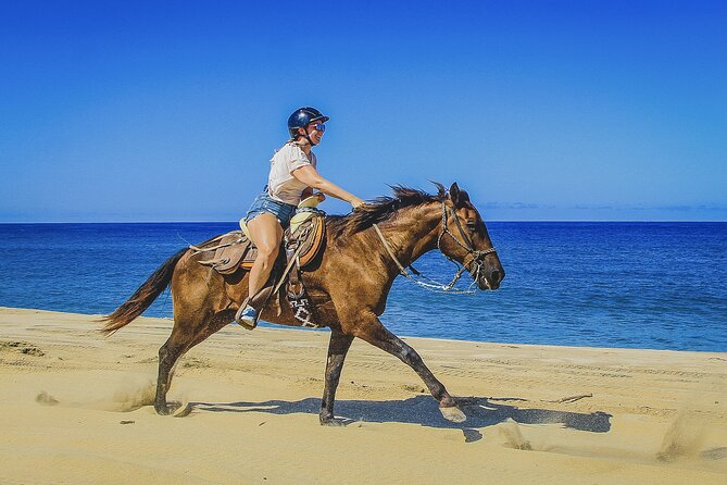 Horseback Riding Beach and Desert in Cabo - From your hotel to the Baja trail base