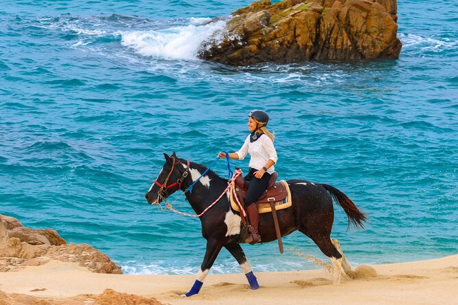 Horseback Riding Beach and Desert in Cabo - Group pace is the biggest unknown