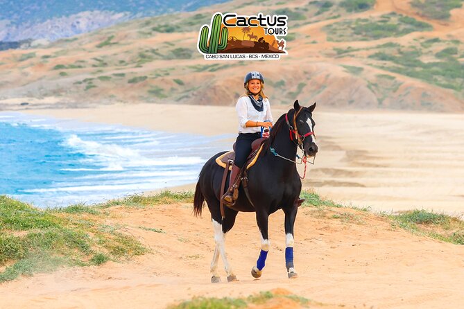 Horseback Riding Beach and Desert in Cabo - Who will enjoy this ride most