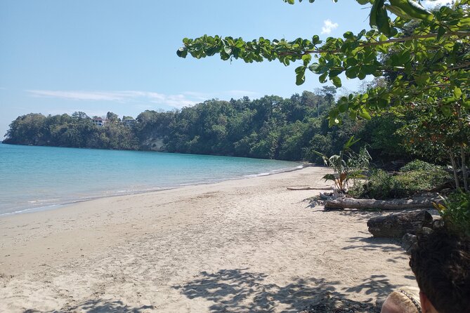 Horseback riding, Blue hole or Dunn's River Combo - Private transport and the value of a dedicated driver
