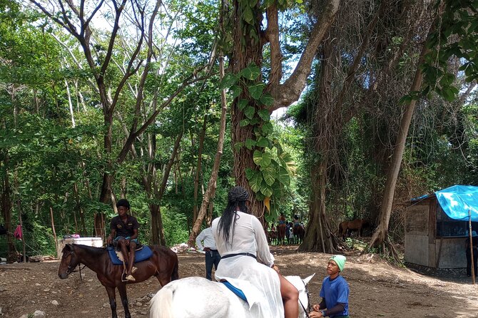 Horseback riding, Blue hole or Dunn's River Combo - Horseback riding through Jamaican vegetation to the beach