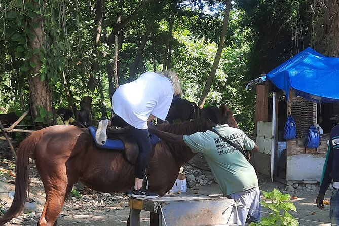 Horseback Riding, Bluehole Secret Falls, Dunns River tour from Montego Bay - Who should book this experience?