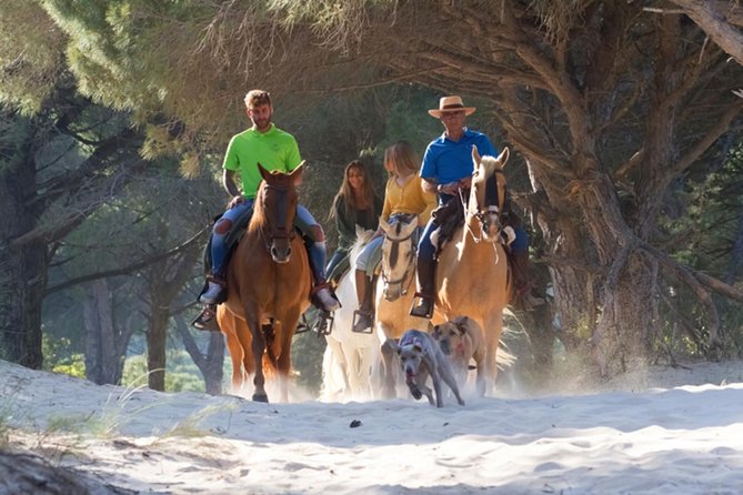 Horseback Riding by the beach or mountain in Tarifa, Spain - 1 to 2 hrs - Choosing between Tarifa’s beach and mountain rides