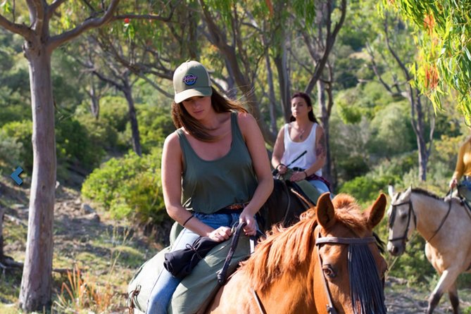 Horseback Riding by the beach or mountain in Tarifa, Spain - 1 to 2 hrs - What happens before you ride