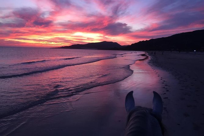 Horseback Riding by the beach or mountain in Tarifa, Spain - 1 to 2 hrs - Who should book this ride?