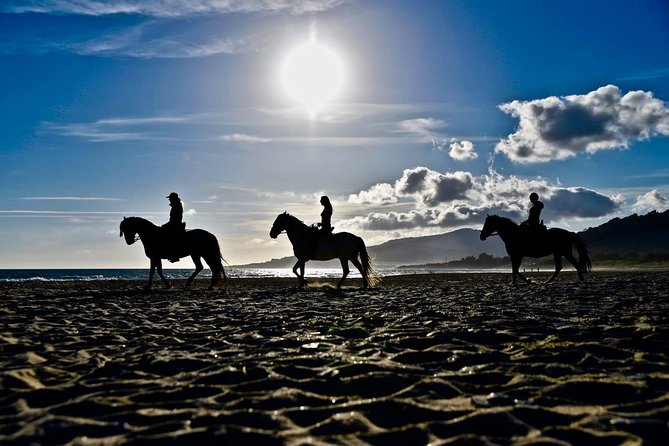 Horseback Riding by the beach or mountain in Tarifa, Spain - 1 to 2 hrs - Practical details that affect your plans