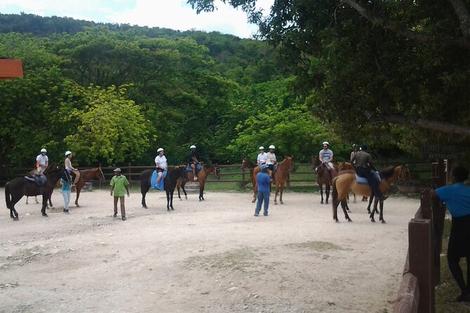 Horseback Riding Dunn's River Falls Adventure from Montego Bay - What the $186.35 price really covers