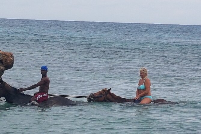 Horseback Riding Dunn's River Falls Adventure from Montego Bay - Who will enjoy this most