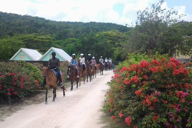 Horseback Riding Dunn's River Falls Adventure from Montego Bay - Practical advice for a smoother day