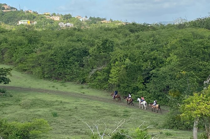 Horseback Riding Experience - Arriving at 72 Estate River