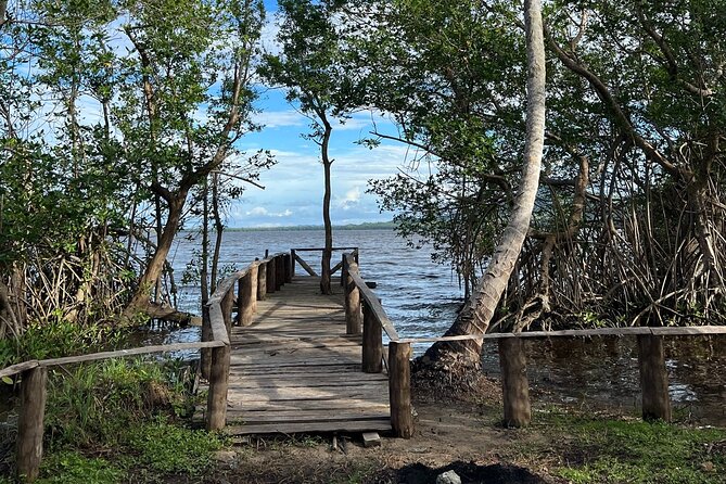 Horseback Riding - Experience between virgin beach and lagoon - Riding through the coconut trees