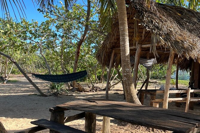 Horseback Riding - Experience between virgin beach and lagoon - Reaching Playa Esmeralda after about 45 minutes