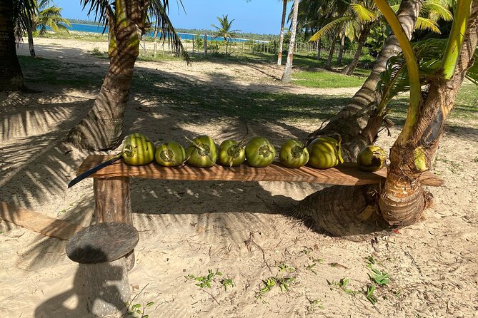 Horseback Riding - Experience between virgin beach and lagoon - What the private format adds