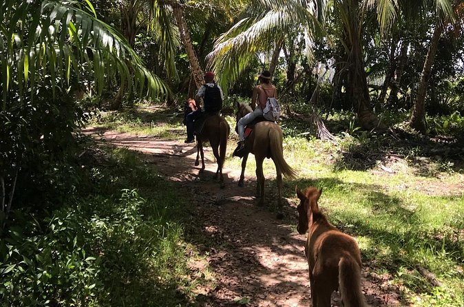 Horseback Riding - Experience between virgin beach and lagoon - Is $100 a fair price?