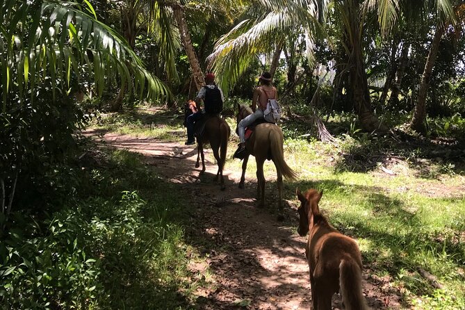 Horseback Riding - Experience between virgin beach and lagoon - What to bring and how to prepare