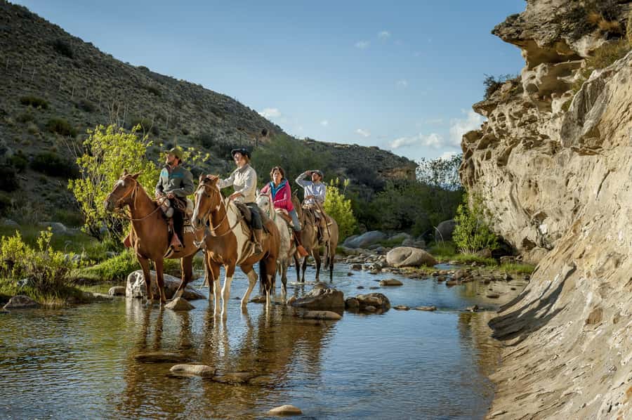 HORSEBACK RIDING EXPERIENCE - CAÑADONES & SADDLES - Through the Calafate Creek Gorge
