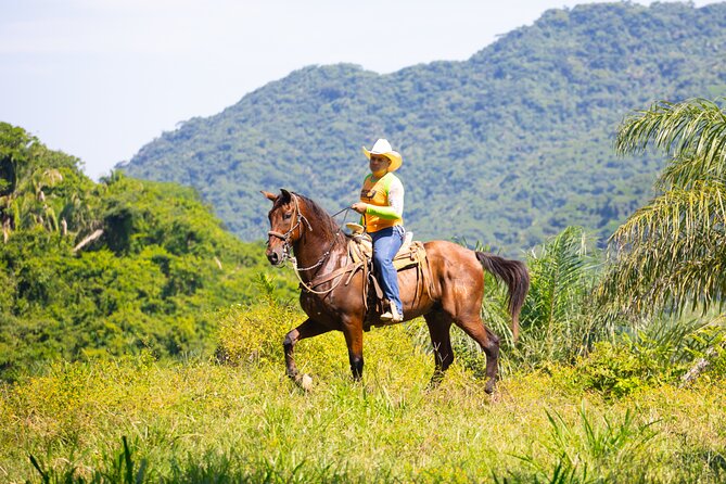 Horseback Riding Experience in Puerto Vallarta - Walking across the world’s longest vehicular suspension bridge