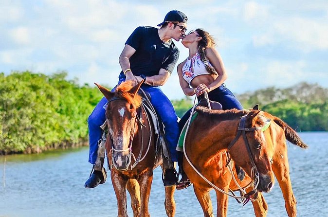 Horseback Riding Experience in Punta Cana - Fields, plantations, and endemic birds add variety