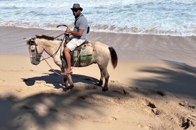 Horseback Riding Experience in Punta Cana - The beach ride is scenic, not action-packed