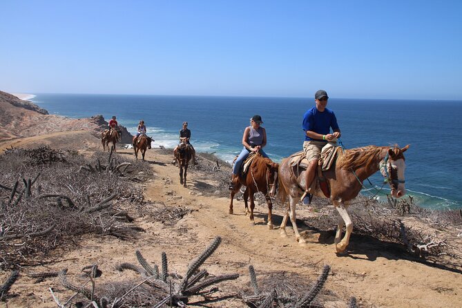 Horseback Riding Experience in Rancho San Cristobal - Key points to know before you book
