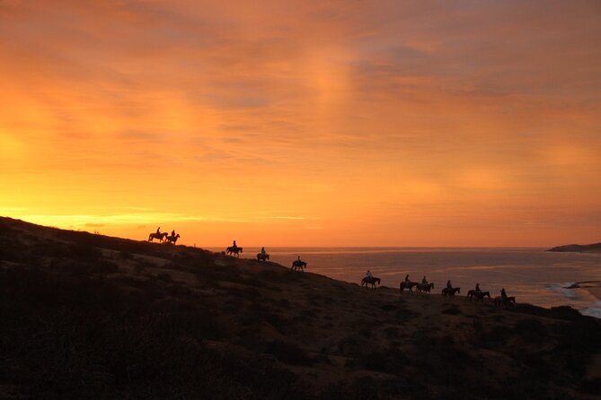 Horseback Riding Experience in Rancho San Cristobal - Why this ranch works well for a Cabo day