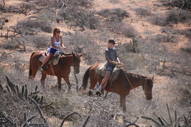 Horseback Riding Experience in Rancho San Cristobal - The beach section and Pacific views