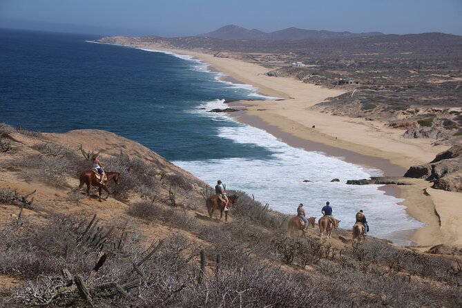 Horseback Riding Experience in Rancho San Cristobal - Getting from Cabo to Rancho San Cristobal