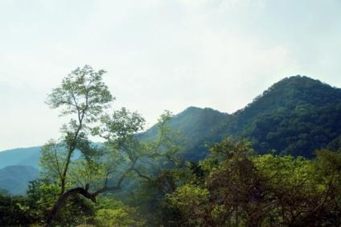 Horseback Riding Experience in Sierra Madre Mountains - Key points to know before you saddle up