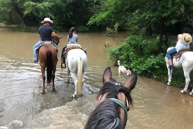 Horseback Riding Experience in Sierra Madre Mountains - From Puerto Vallarta to the Sierra Madre