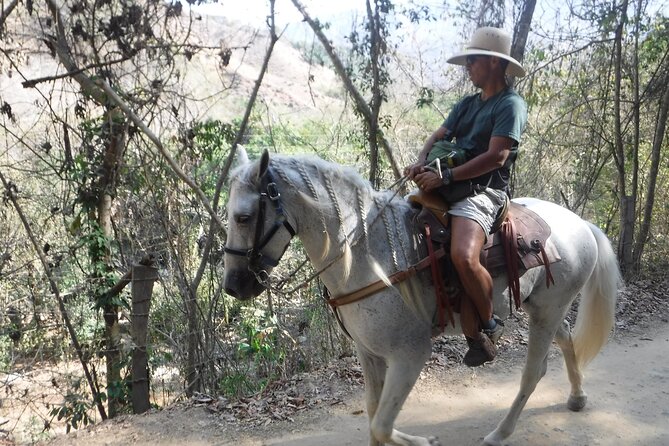 Horseback Riding Experience in Sierra Madre Mountains - Rocky ground, river crossings, and comfort