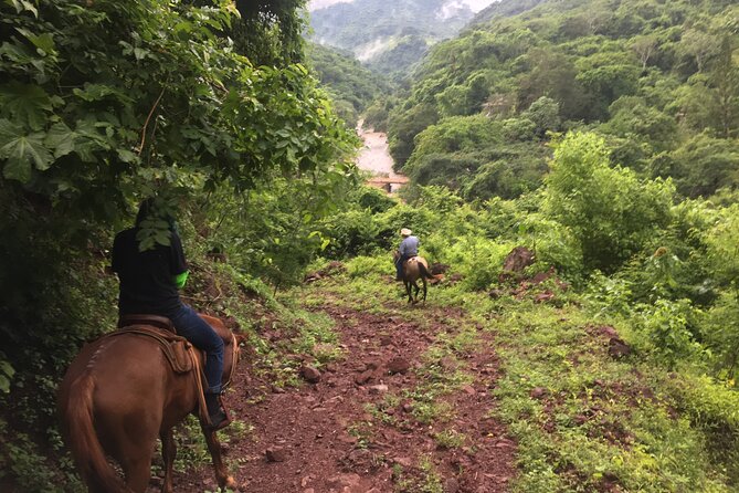 Horseback Riding Experience in Sierra Madre Mountains - Meeting the horses and guides
